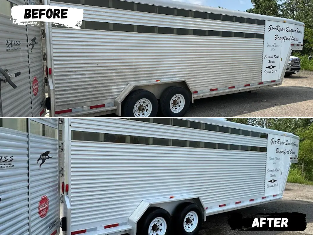 Agriculture & Livestock